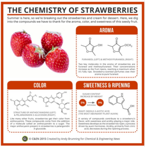 infographic on the chemistry of strawberries
