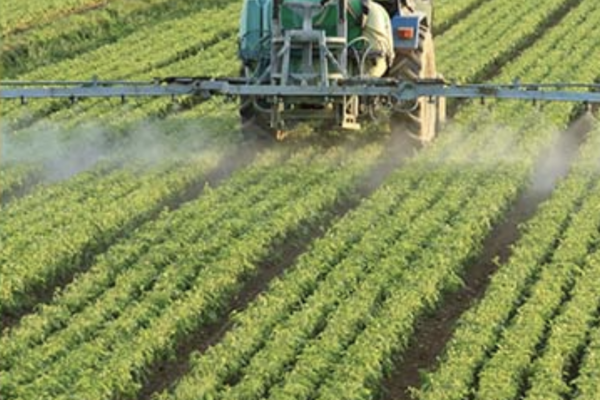 agricultor rociando pesticidas en cultivos