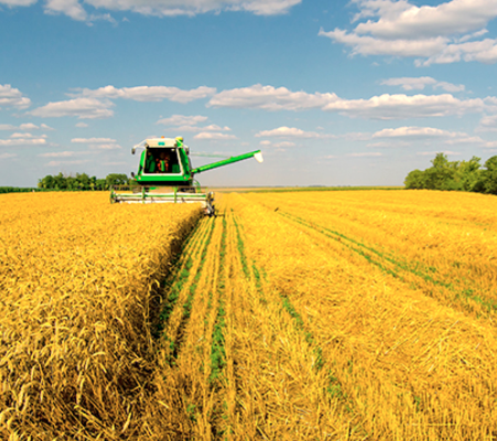 plowing field of wheat