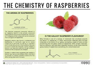 infographic about the chemistry of raspberries