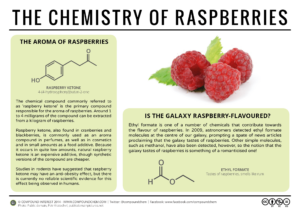 infografía sobre la química de las frambuesas