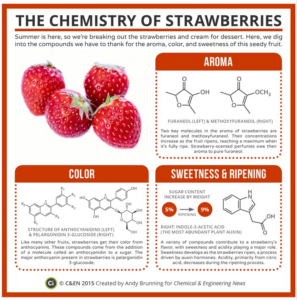 infografía sobre la química de las fresas