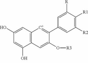 chemical compound of blackberries