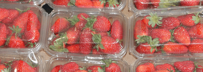 fruit-packaging