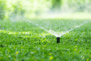 Lawn Sprinkler