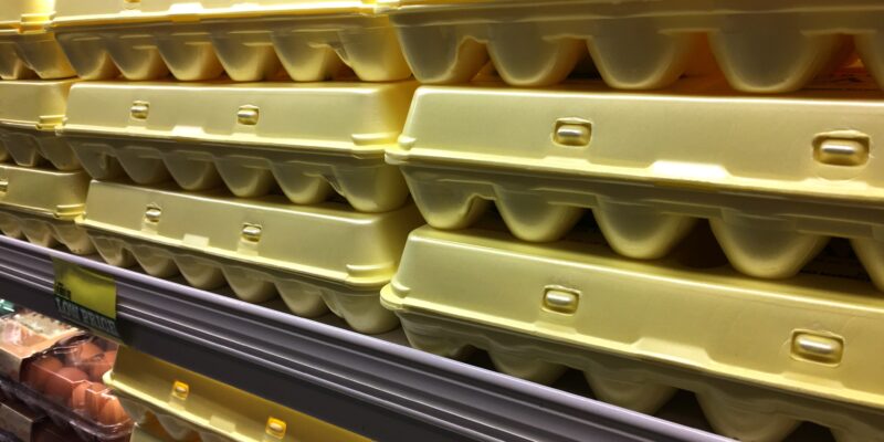 contenedores de poliestireno que mantienen huevos seguros durante el transporte
