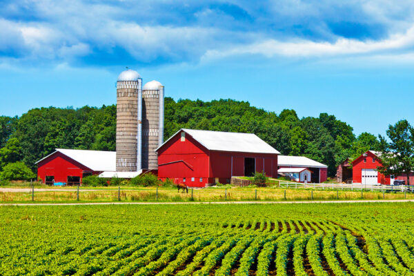 red barn on farm